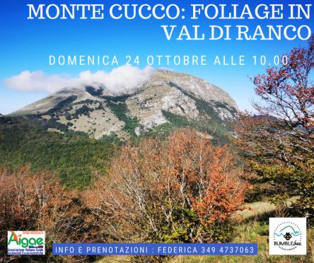 Monte Cucco: foliage in Val di Ranco