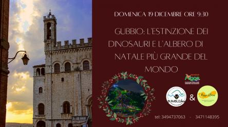 Gubbio: l'estinzione dei dinosauri e l'albero di Natale più grande del mondo.