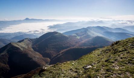 Monte Cucco: grandi faggete e panorami