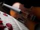 Assisi nel Mondo
