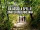 Da Assisi a Spello lungo la Via Lauretana