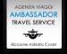 Ambassador Travel Service