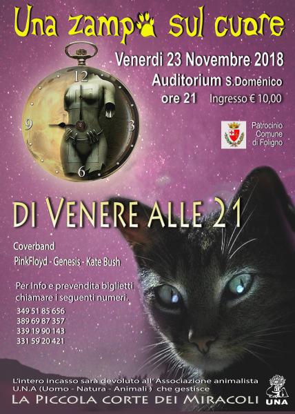 UNA ZAMPA SUL CUORE