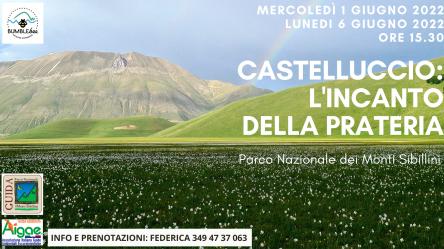 Castelluccio: l'incanto della prateria.