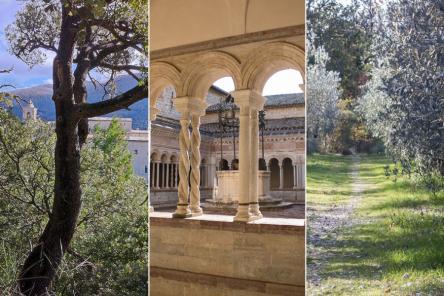 Sentiero degli ulivi, Abbazia di Sassovivo e pranzo in frantoio