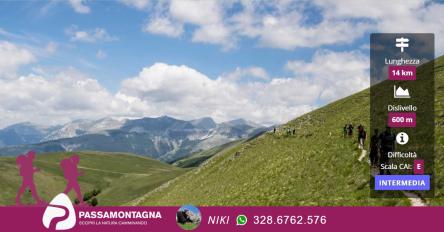 Monte Patino da Castelluccio di Norcia