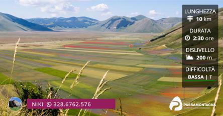 Fioritura di Castelluccio, l’altopiano colorato