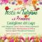 Festa del Tulipano e di Primavera
