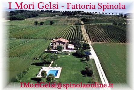 Agriturismo I MORI GELSI - Fattoria Spinola